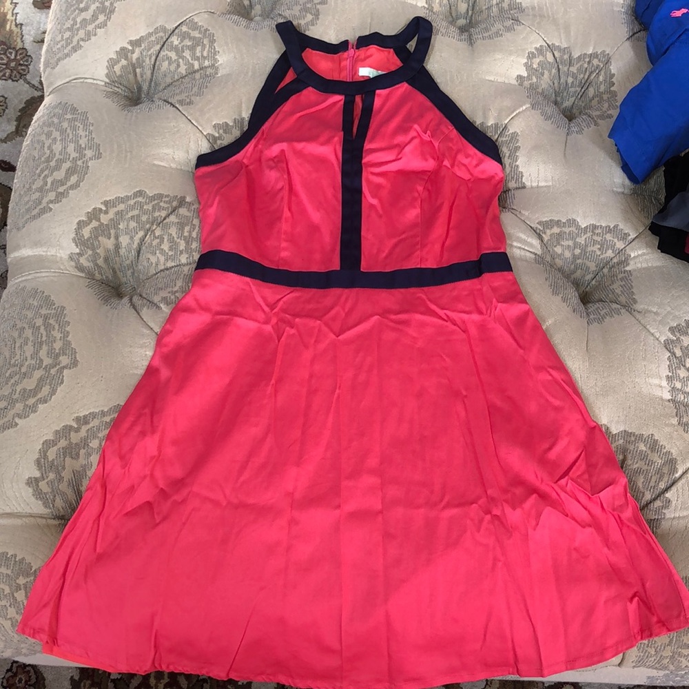 Pink and Navy boutique dress